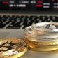 eToro Survey on Crypto