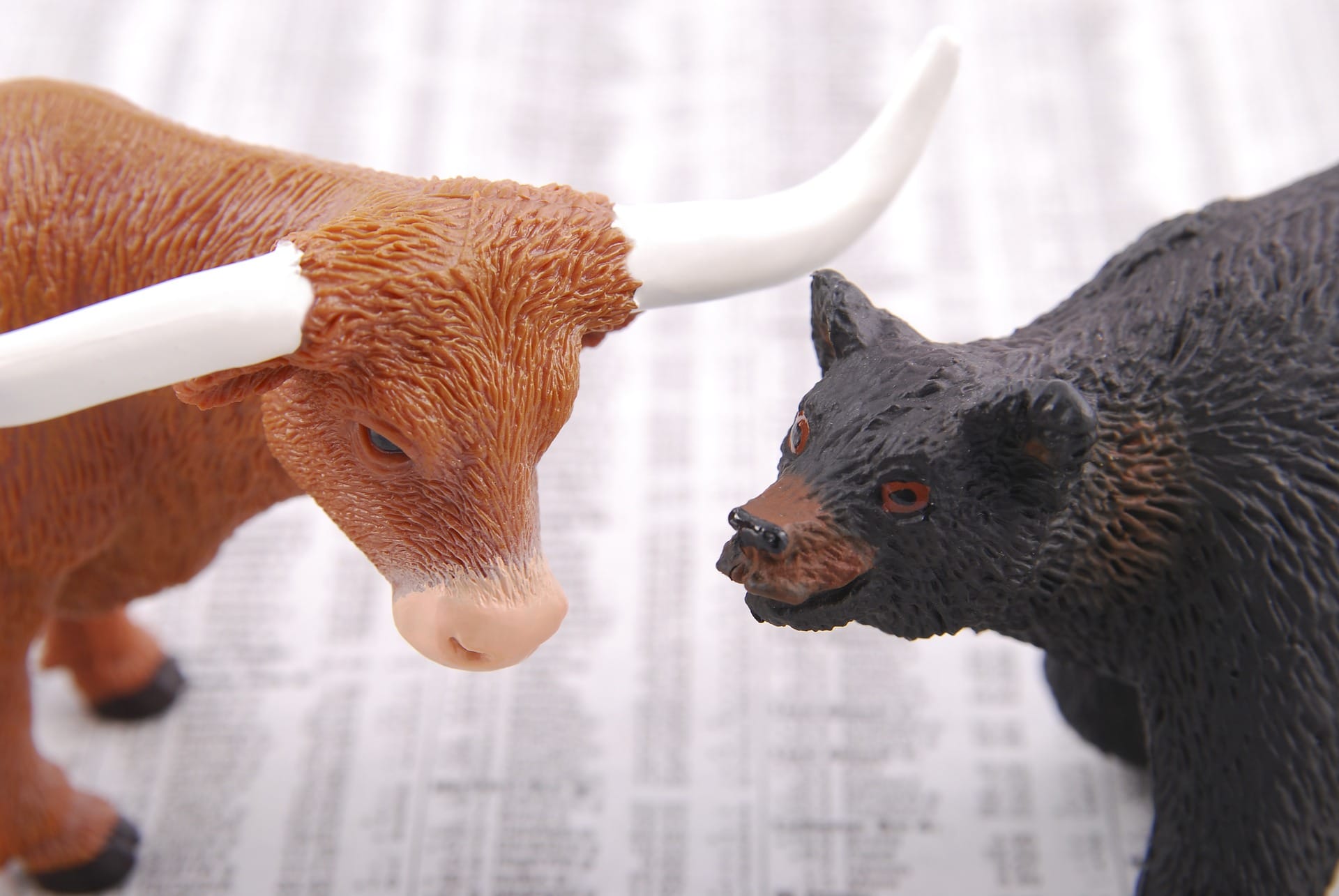 Bull and bear markets