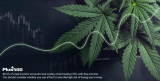 Is Cannabis the New Crypto?